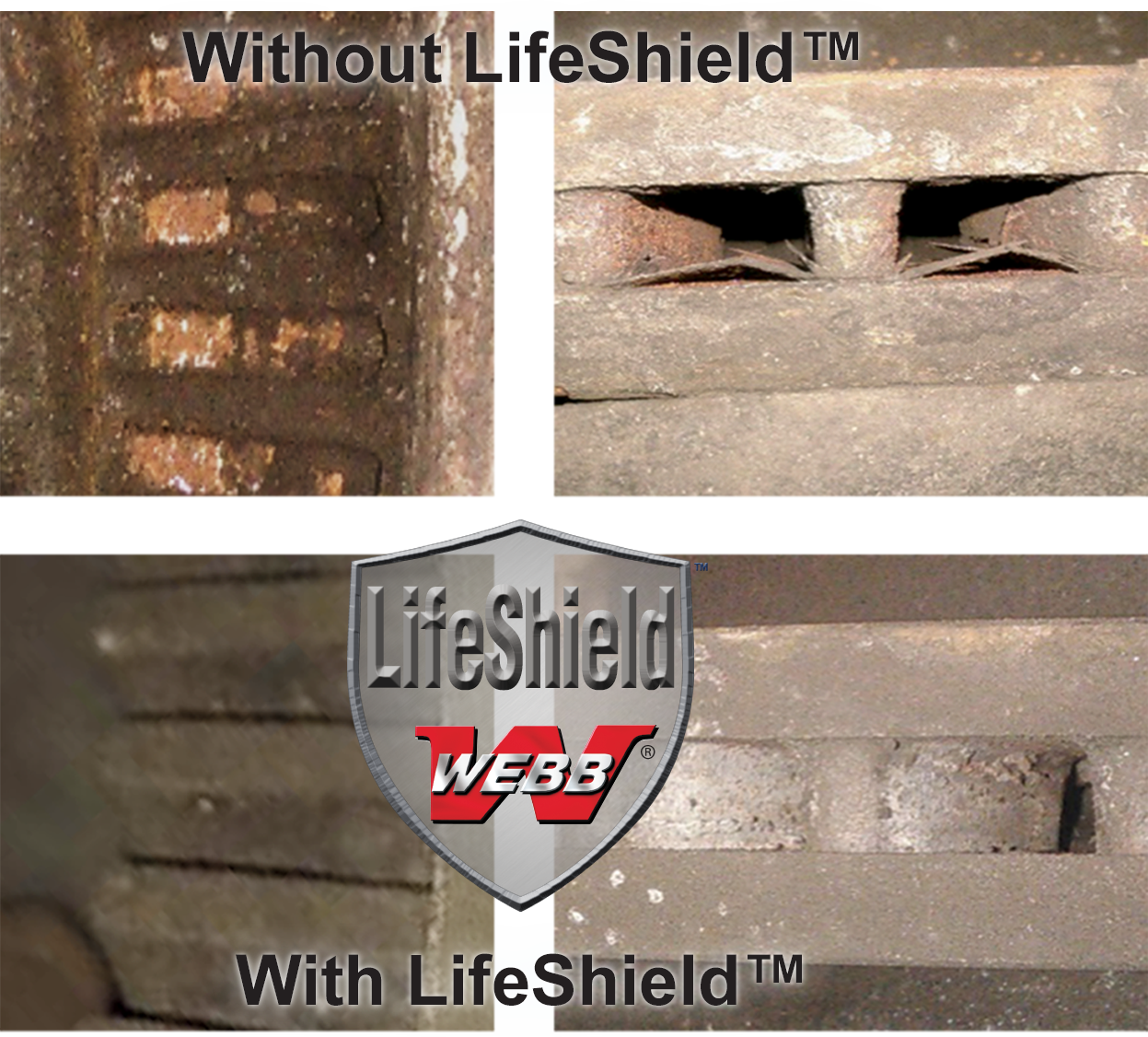 life shield rotors